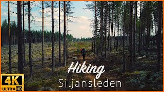 Hiking Siljansleden in Dalarna Sweden 4K [upl. by Ahtimat227]