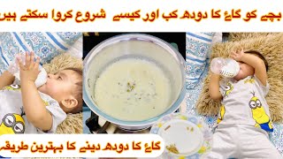 How to introduce Cow Milk to Babies  Cow Milk for 06 Months Babies [upl. by Adnohryt]