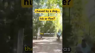 chased by a DOG 🤬 [upl. by Valeda]