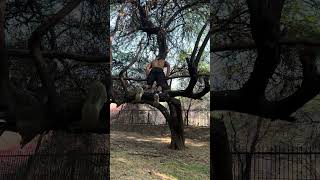 Dhoka diya kare ☠️🏴‍☠️💪 fitness motivation strengthtraining ropeworkout fitnesschallenge [upl. by Allimak211]