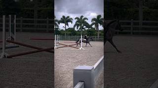 technical lesson tdy pony blowup equestrian fyppp capcut [upl. by Roon]