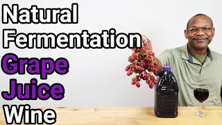 Natural Ferment Grape Juice Wine with Tasting [upl. by Nodnar]