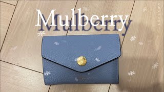 Haul  2022 멀버리 카드지갑 리뷰 Mulberry’s Folded MultiCard Wallet [upl. by Olympe]