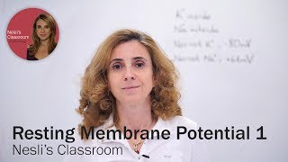 Resting Membrane Potential lecture part 1 [upl. by Shreve]