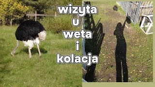 VLOGTOBER11 CZY WY WIECIE CO TO CHAUPCIE [upl. by Anelliw]