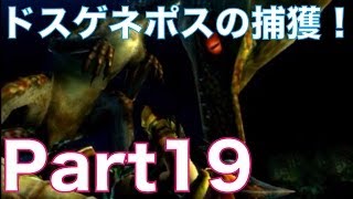 【MH4実況】モンスターハンター4を初見実況プレイ！part19 ドスゲネポスを捕獲！ [upl. by Aicirtak202]