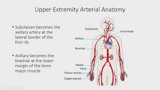 Upper Extremity Arterial Duplex by Esther SH Kim MD MPH RPVI [upl. by Imiaj]