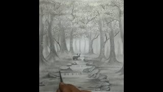 How to draw deer inthe big jungle with pensil 8B [upl. by Boyer]