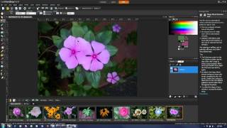 Saturation Adjustment in PaintShop Pro X4 [upl. by Nylloc]