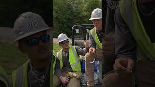 Whatd our Electrical Lineman Students learn today Does this thing actually work lineman shorts [upl. by Iggy]