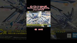 ガンプラくじ 2024 C賞 ライジングフリーダムガンダム ソリッドクリア アニメ anime ガンダム gundam アニソン gundamseed ガンダムseed ガンプラ [upl. by Weksler]