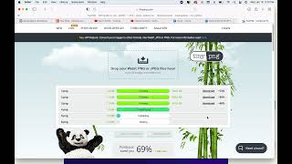 TINYPNG TUTORIAL [upl. by Ydnak655]
