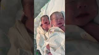 Twin newborns one stopped crying the other started crying [upl. by Secundas]