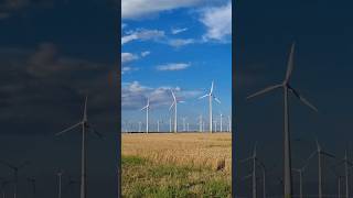 Windpark Feldheim 14072024 Kranstellflächen für die E138 EP3 🏗 [upl. by Akirea]