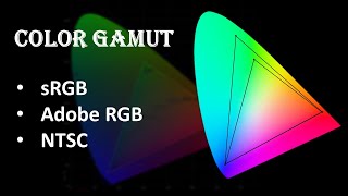 Choosing Color Gamut For Laptops  sRGB Adobe RGB and NTSC  Explained in Hindi [upl. by Aja]