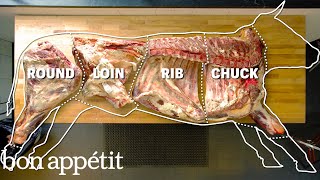 How To Butcher An Entire Cow Every Cut Of Meat Explained  Bon Appetit [upl. by Haveman331]