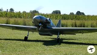 RC ITALIAN WARBIRDS DOGFIGHT  CYMODEL REGGIANE RE2005 MACCHI VELTRO [upl. by Eentihw547]