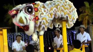 Sin Ong Dian Lion Dance troupe [upl. by Evadne571]