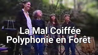 La Mal Coiffée  Polyphonie Occitane  Forêt de Bugarach [upl. by Lindi]