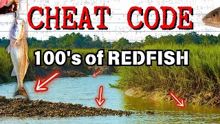 Cheat Code for Catching Georgia REDFISHUse this technique to catch 100s [upl. by Pacificas416]