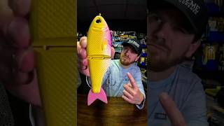 Throwback Baits Metro Glide Swimbait fall fishing challenge fishing fishingvideo bassfishing [upl. by Jordison236]