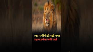 ❤️ motivational shayari song video motivation music [upl. by Zasuwa168]