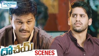 Naga Chaitanya Fools Sapthagiri  Dohchay Telugu Full Movie Scenes  Kriti Sanon  Sudheer Varma [upl. by Esened]