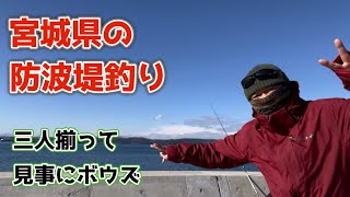 【宮城県の防波堤釣り】魚がいない⁈ 2024年の釣り始めは 完敗です。fisherman youtube channel [upl. by Charmaine186]