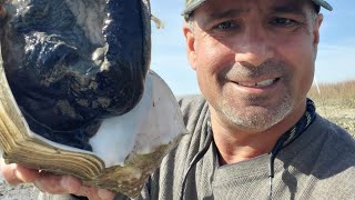 Carolina Murrells Inlet Whelk Conch Super Burger Collect Clean Cook Catch Delicious Myrtle Beach [upl. by Lupe]