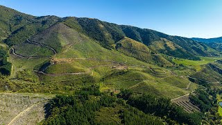 Awatere Valley Forestry  Marlborough [upl. by Aidyl]