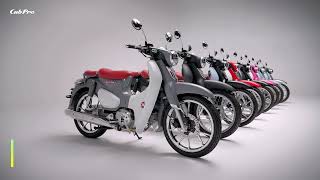 Which Color Do You Like Cub Pro 125 Motorcycle kamax supercub underbone 125cc moped [upl. by Kries]