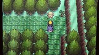 Pokemon Heart Gold Walkthrough Episode 17 Wheres Whitney [upl. by Ivey]