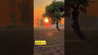 pind 🥺 pind desi pindawale pindan jatt trending shortsfeed shorts song kulbirjhinjar [upl. by Bartko743]