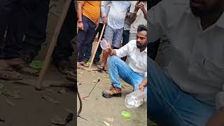 Cobra snake rescue in shopsandeepdehatikingcobra snake sorts trending trendingshorts [upl. by Nojel496]