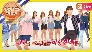 ENGJPN Weekly Idol 역시 비투비 범상치 않은 등장🏃‍♂️ l EP261 [upl. by Nnylecoj737]