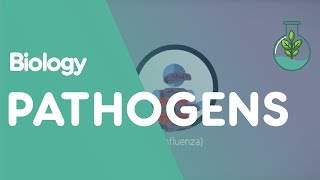 What Are Pathogens  Health  Biology  FuseSchool [upl. by Otha515]