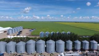 Canadian farmers Delage farms Indian Head Saskatchewan Canada 4K video MYAGROTOURS [upl. by Nojram]