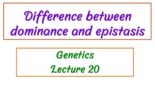 Difference between Dominance and Epistasis  Genetics Lecture 20 [upl. by Ramaj]