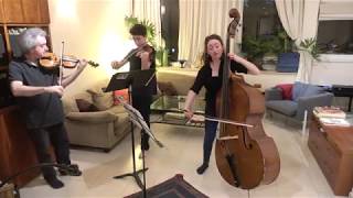 Hoffmeister Double Bass Concerto no1 in D major  Naomi Shaham [upl. by Ogu]