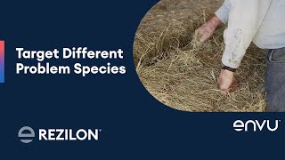 How To Apply Rezilon® Herbicide to Target Different Problem Species [upl. by Llemor]