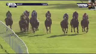 Race 5 1555 Ascot 19 Oct 2024 Qipco Champion Stakes Group 1  British Champions Middle Distance [upl. by Mcnalley]