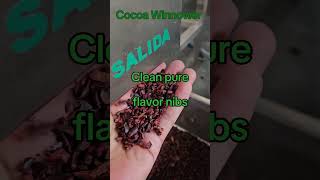 Efficient Cacao Processing with Vulcanotecs Cacao Cracker and Winnower [upl. by Odirfliw]