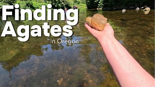 Finding Agates in Oregon [upl. by Orat]