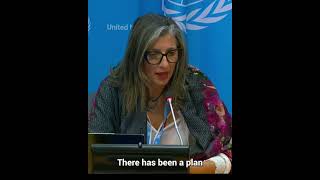 Palestinians risk being erased from northern Gaza says UN Special Rapporteur [upl. by Blain53]