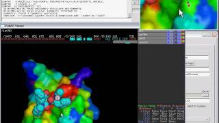 Viewing an Evolutionary Trace with PyMOL and the PyETV plugin [upl. by Kier80]