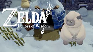 Helping Condé The Legend Of Zelda Echoes Of Wisdom [upl. by Berkie313]