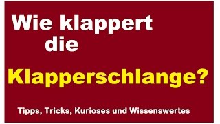 Wie und womit klappert die Klapperschlange Schlange Horn Rassel tödlich [upl. by Ayocat570]