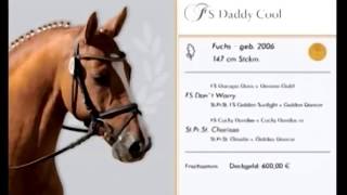 FS Daddy Cool  Ferienhof Stücker [upl. by Reta]