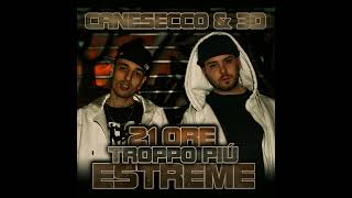 3D amp CaneSecco  Rancore skit [upl. by Sixel]