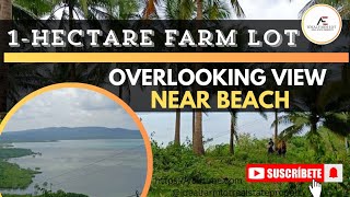 Vlog082 1hectare farm lot sea view near cemented brgy road ideal for retirementinvestment [upl. by Laamaj]